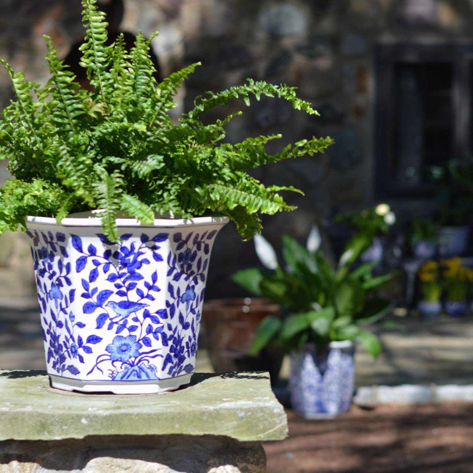 Blue Garden Ceramic Pot Planter, 10'' H x 11.5'' W x 12.75'' D
