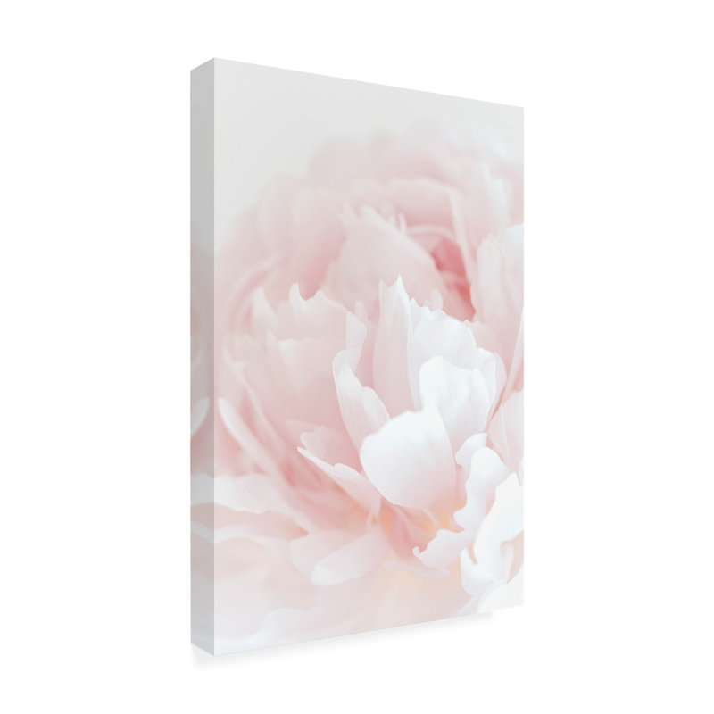 Pivoine bolognaise 05 sur toile, H 47 po x l 30 po x P 2 po