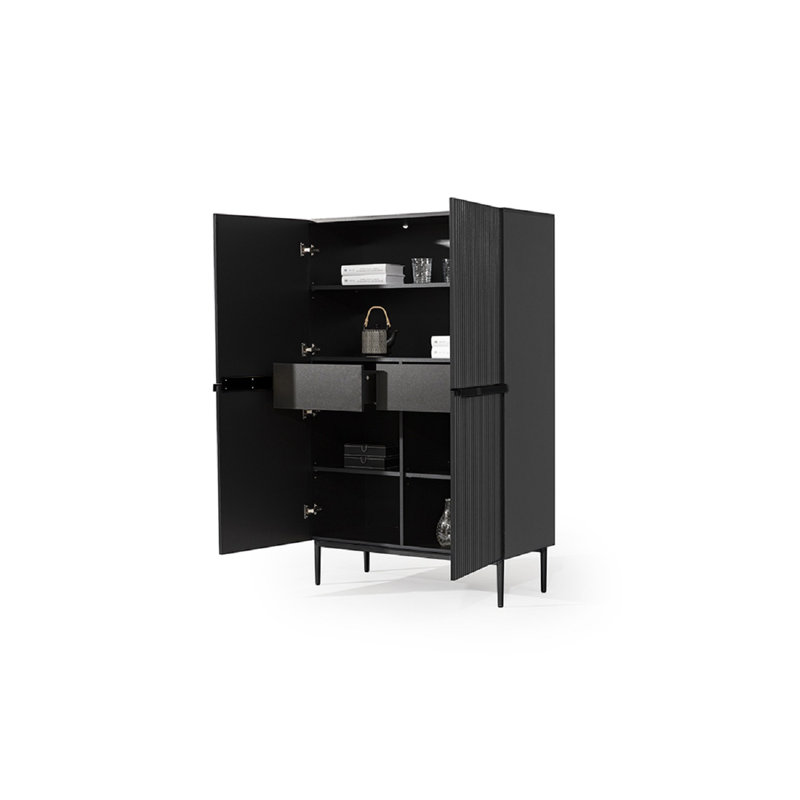 Alessja 2 Door Manufactured Wood Wardrobe, Black