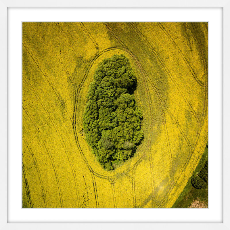 Single Picture Frame Print, 51 cm H x 51 cm W x 3.81 cm D
