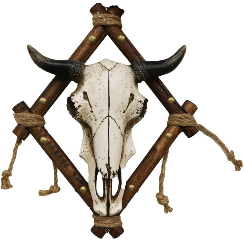 Grand crâne de bison Aviree
