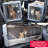 Daviyon Plastic Pet Carrier