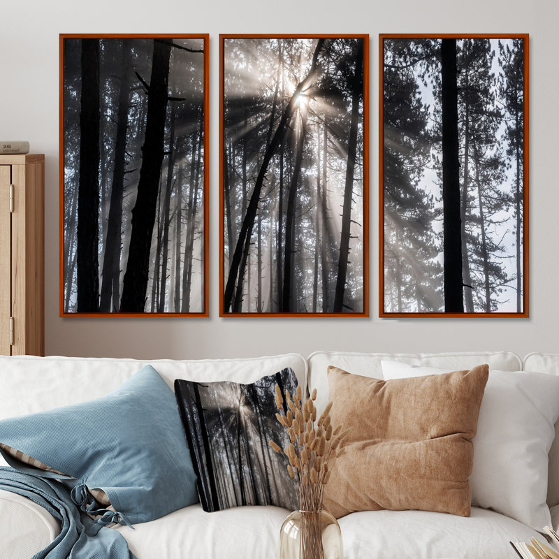 Rayons de soleil à travers la forêt blanche noire - ensemble d'art mural sur toile encadré forêt, H 32 po x l 48 po, Brown