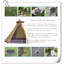 Tente pour 6 personnes-99239661