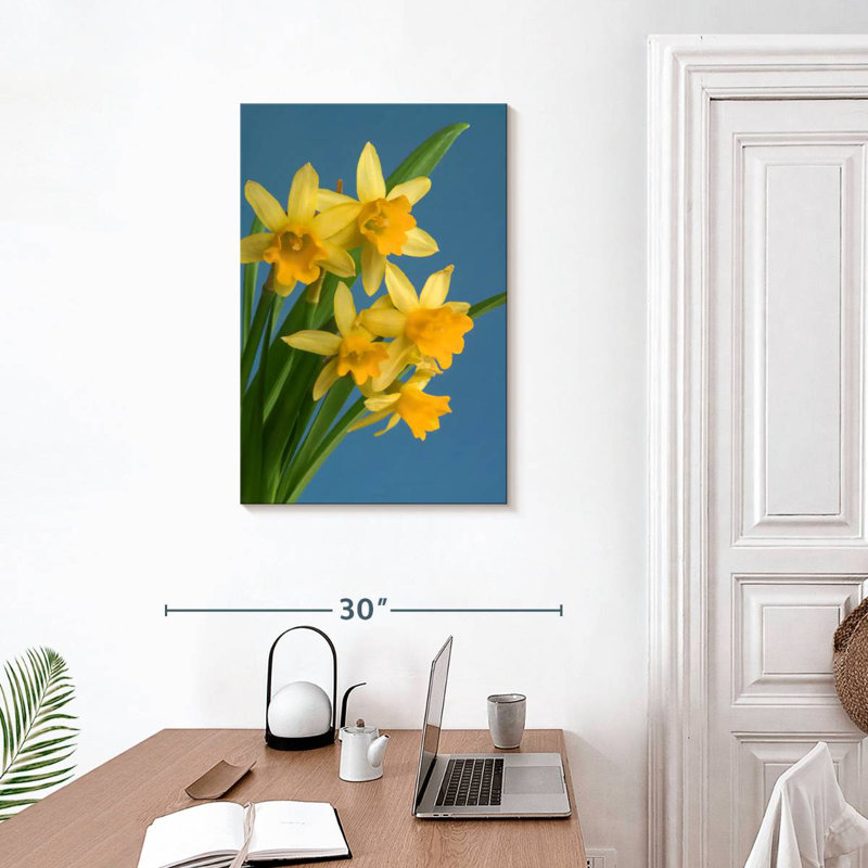 Jonquilles jaunes sur fond bleu Harnek, H 30 po x l 20 po