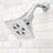 Rainier 2.5 GPM Adjustable Shower Head