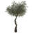 7 Foot Artificial Olive Tree