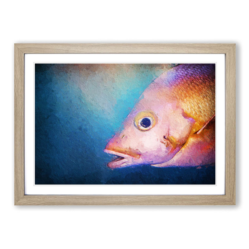 Pink Snapper Fish - Picture Frame Painting Print, 27cm H x 36cm W x 2cm D, Oak Framed