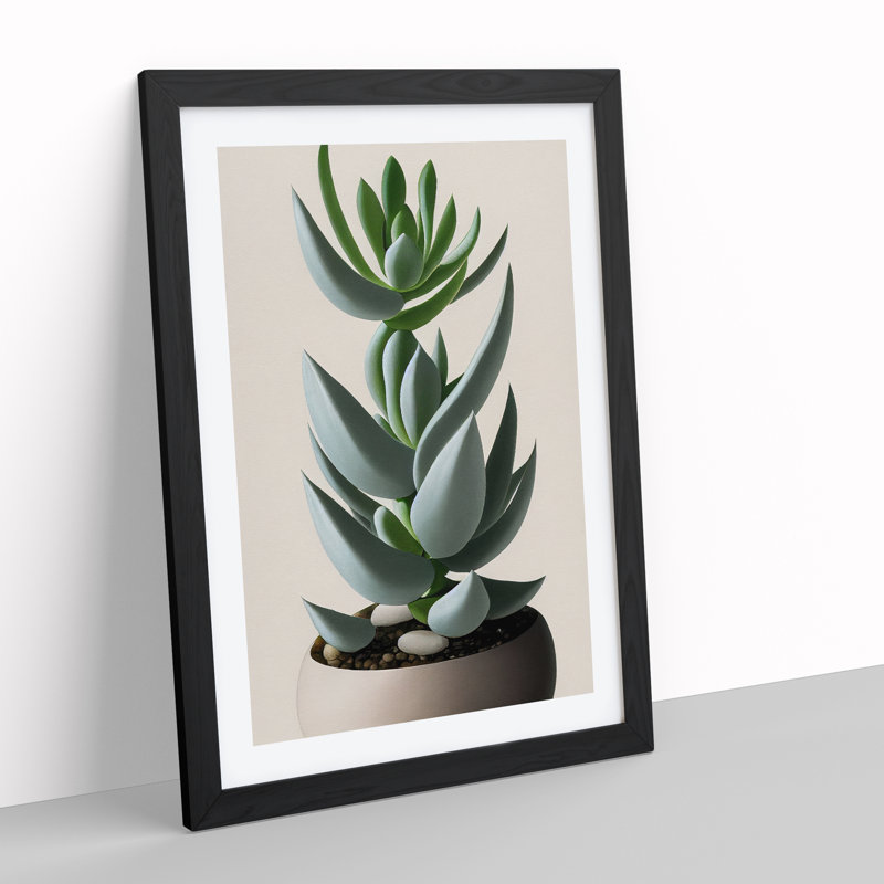 Succulent Plant - Wall Art, Black Framed Paper, 36cm H x 27cm W, White