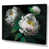 Toile tendue