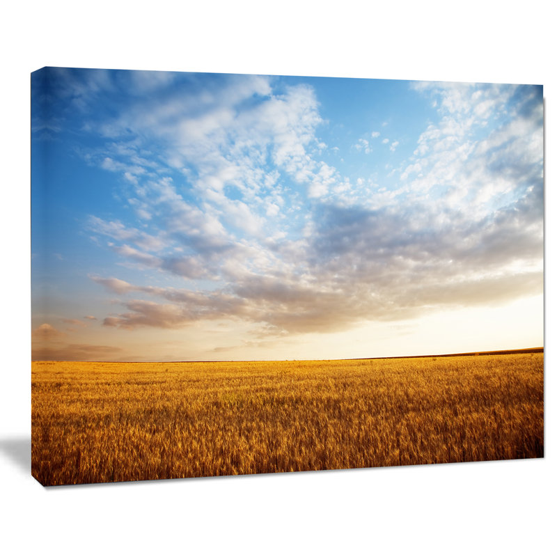 « blé field under summer sky », reproduction de photo sur toile tendue, H 30 po x l 40 po x P 1 po