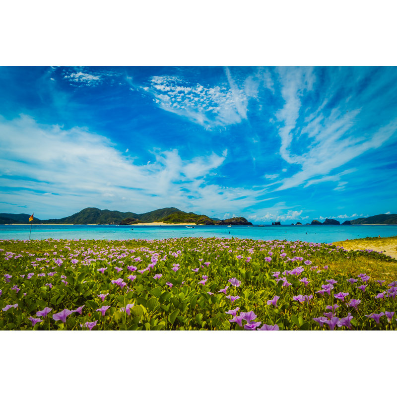 Beach Morning Glory - Wrapped Canvas Print, 51cm H x 76cm W x 3.8cm D