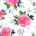 White/Pink