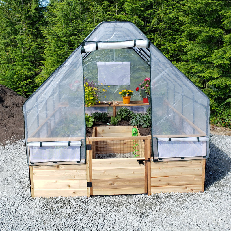 8 ft. W x 8 ft. D Cedar Garden in a Box with Greenhouse Covering