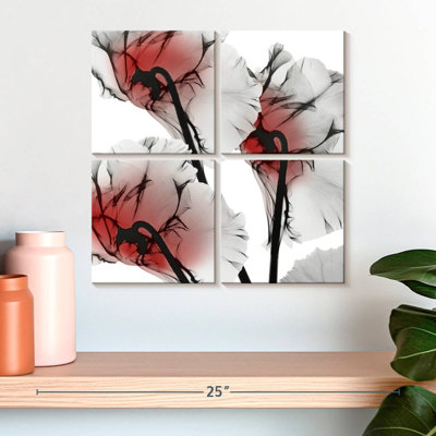 Cyclamen lustré Harnek Crimson