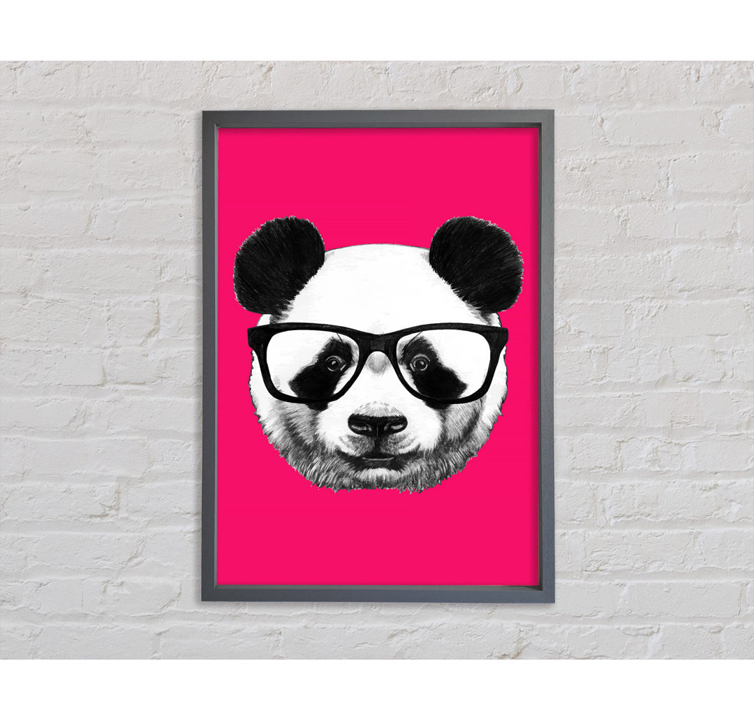 Funky Panda - Druck