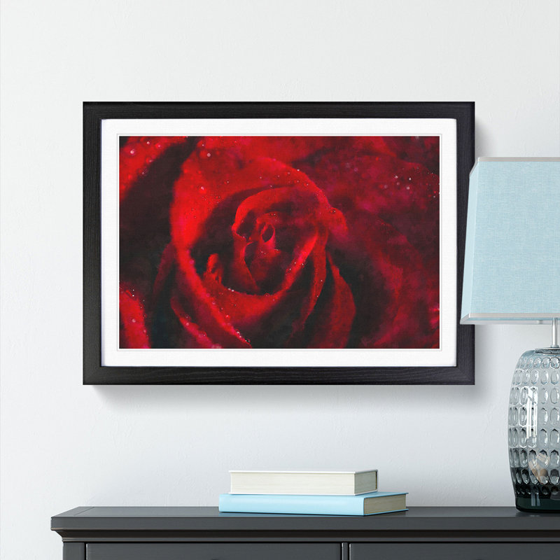 Drops upon a Red Rose - Picture Frame Graphic Art Print, Black Framed, 62cm H x 87cm W x 2cm D