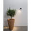 Outdoor Armed Sconce-1852411257