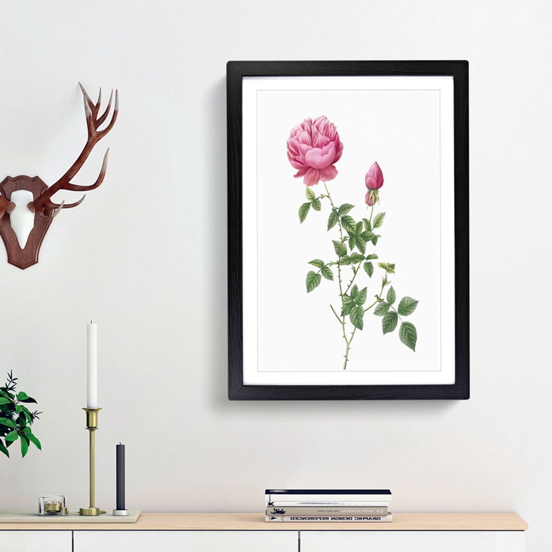 Autumn China Rose in Pink by Pierre-Joseph Redoute - Framed Print, 33cm H x 24cm W x 2cm D, Black Framed