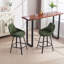 Janayshia 65cm Swivel Bar Stool-1865890701