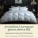 Goose Down Comforter 100% Egyptian-Quality Cotton 600 Thread Count Duvet Insert with Corner Tabs