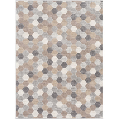 Geometric Indoor Rug