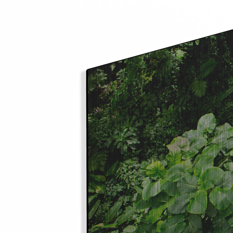 " Rainforest Canopy " by Nicklas Gustafsson, 24" H x 36" W