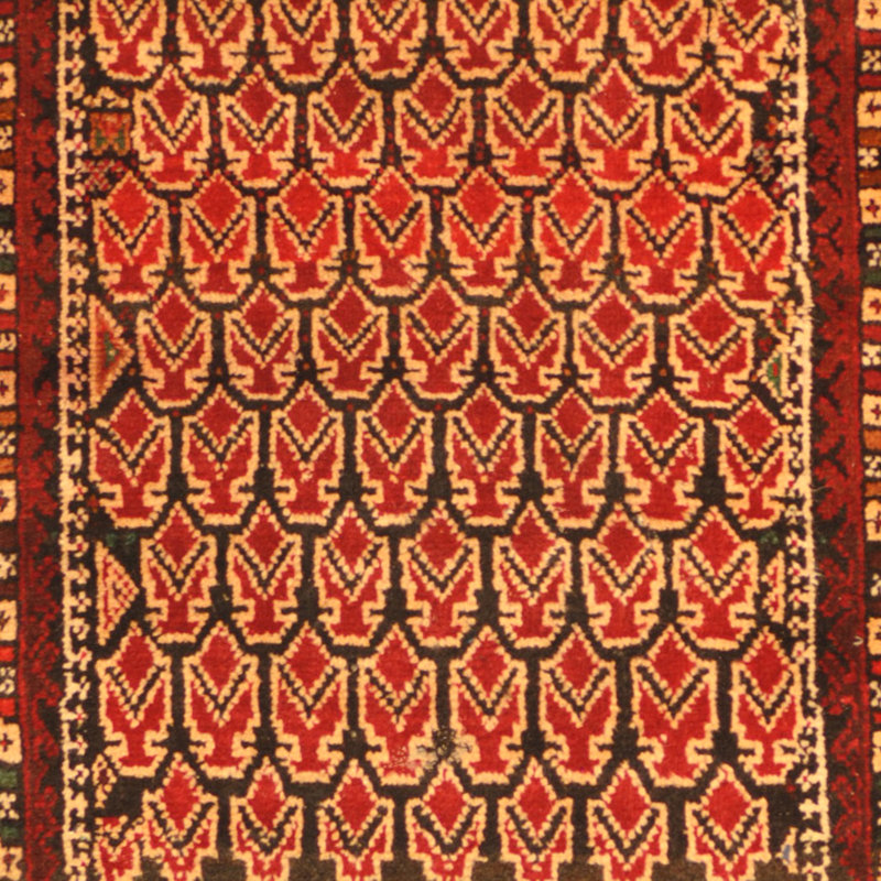 Hartste Wool Oriental Indoor Rug