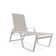 Holna Outdoor Rust-Resistant Metal Chaise Lounge