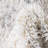 Indoor Rug-1195614342