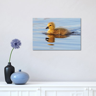 Gosling 1 Piece Wrapped Canvas Wall Art