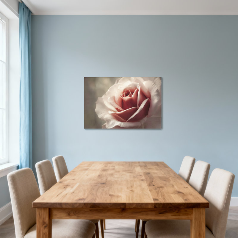 Plantes et fleurs, rose doux, gros plan, art floral Z25122408424094461, H 12 po x l 18 po