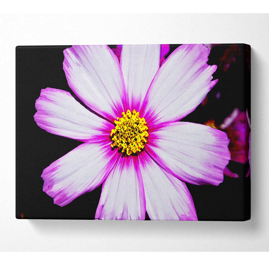 Pink Petal Stunner - Kunstdrucke auf Leinwand