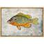 Crapaud orange sur fond de granit, vie marine, réalisme nautique, ultra sur toile-97558736-97558735