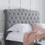 Danube Upholstered Sleigh Bed-23736195-20018502