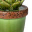 Figurine en céramique Echeveria-1695784437