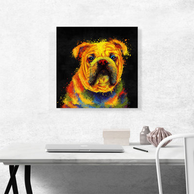 " English Bulldog "