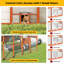 110" Catio Outdoor Cat Enclosure Large Wooden Walk-in Catio Cat Patio for Multiple Cats, 54ft² Cat House-101267079