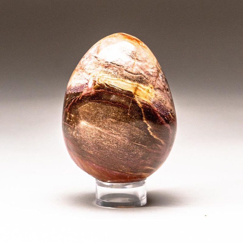 Petrified Wood Egg, Yellow/Brown, 3" H x 2" W x 2" D