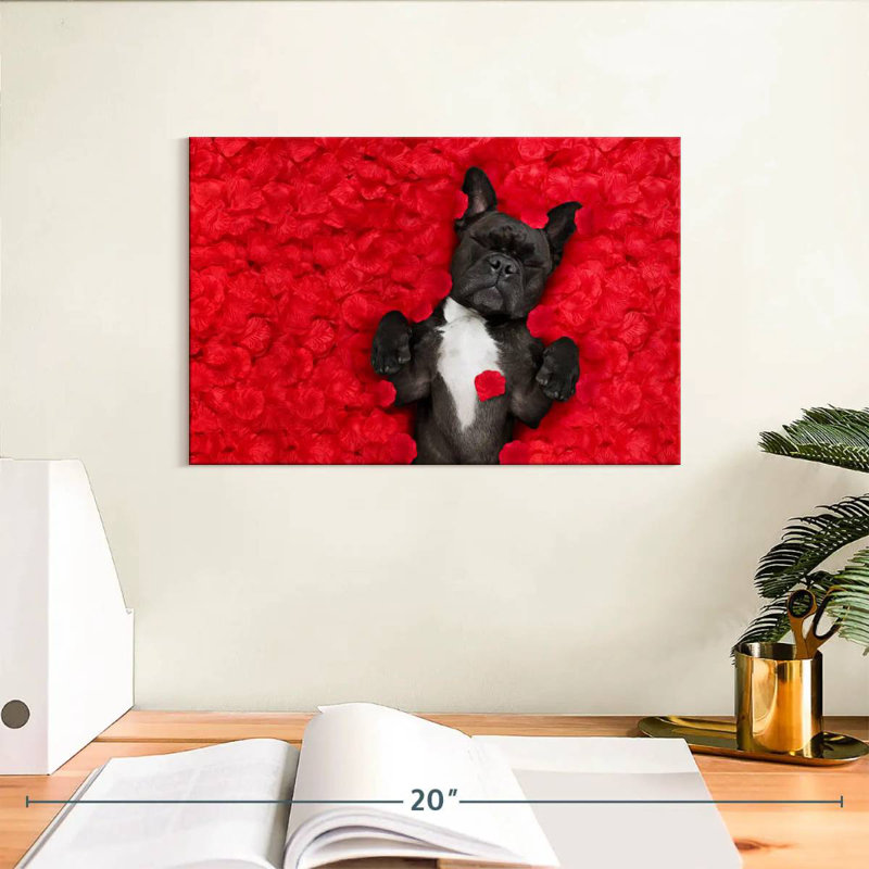 Bouledogue français Brampt Valentines, H 8 po x l 12 po