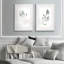 Simple sauge - ensemble de 2 reproductions d'art encadrées-1578471023-1541205129-1578471018