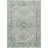 Machine Washable Indoor/Outdoor Jadiel ACN2357 Traditional Rug-184076440