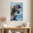 Brampt Equine-108256026
