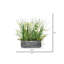 Arrangement floral en pot jonquille