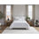 Sabino Coverlet