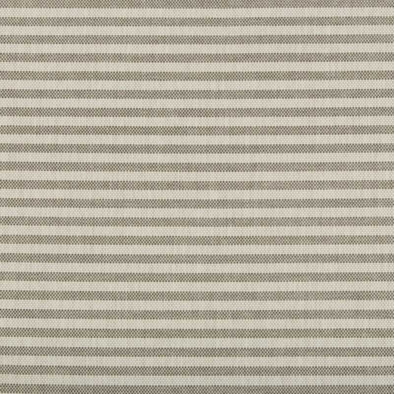 Terra Firma II Rayas Stripe Fabric, Fossil