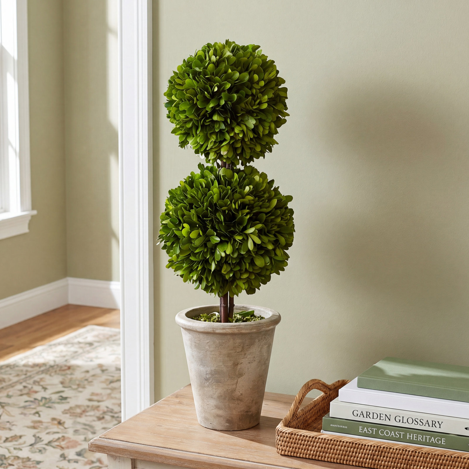 Aldin 30" Boxwood Topiary in Pot, 20" H