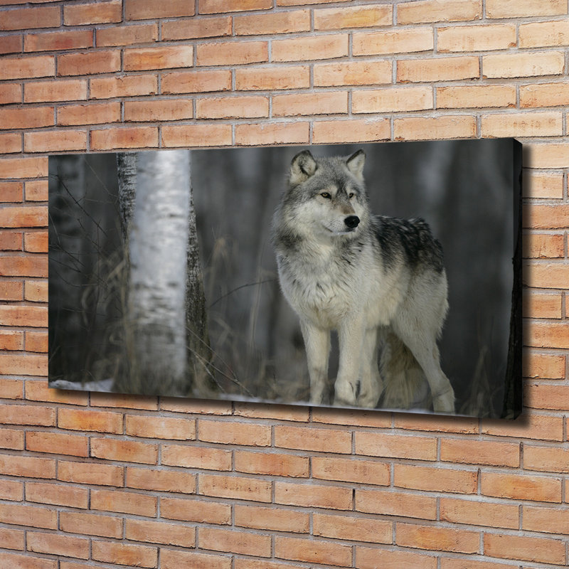 Grey Wolf - Wrapped Canvas Print
