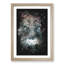 Colourful Bull Cow - Framed Print-56742477-56742478