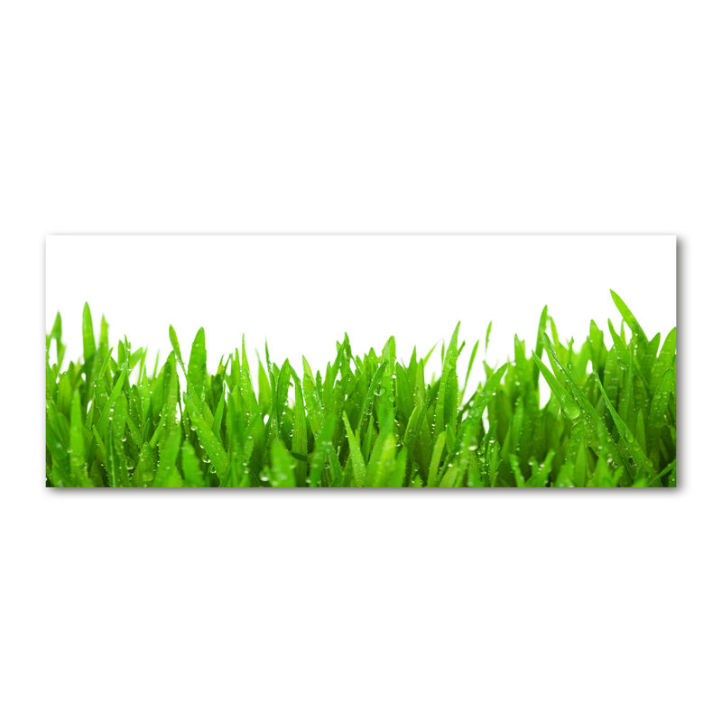 Grass - No Frame Print on Canvas